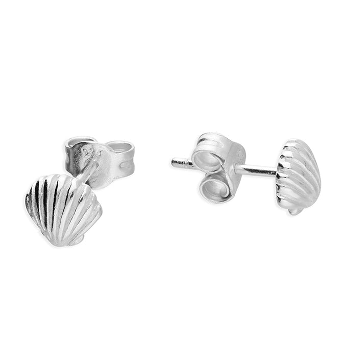 Shell Stud  earrings